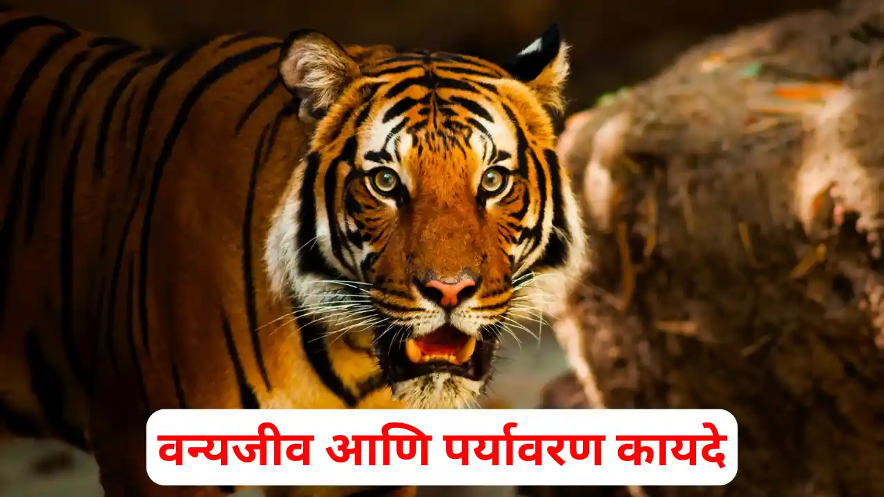 wildlife protection act